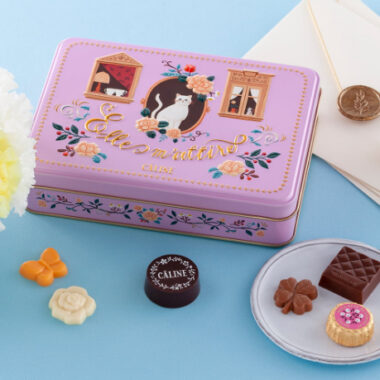 Bulk cookie and chocolate tin packaging