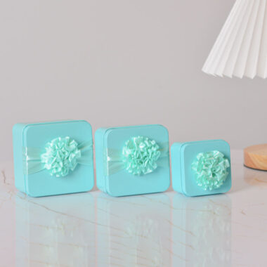 Creative Multi-Shape Candy Cookie Chocolate Tin Box